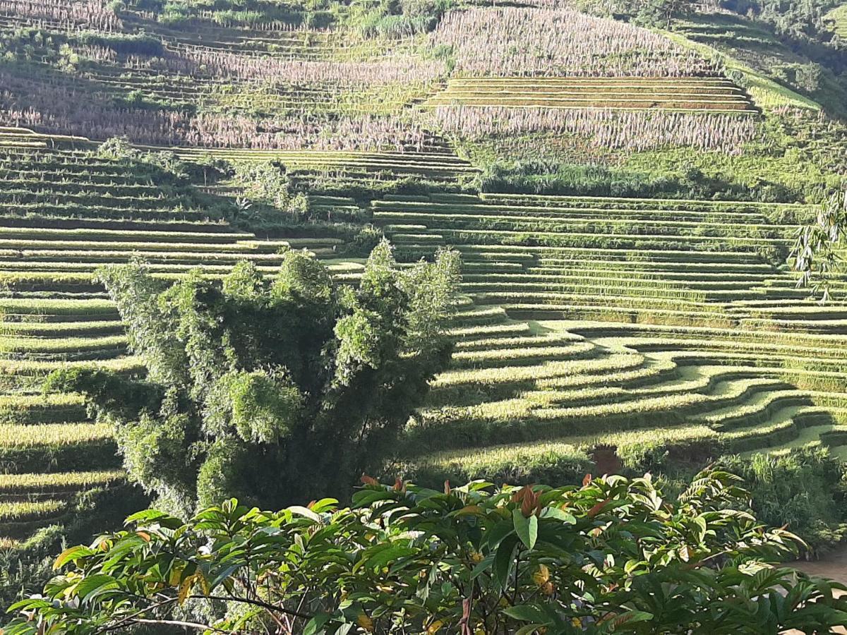 Dong Suoi H'Mong Homestay & Bungalow - Trek & Vegetarian Food Mu Cang Chai 외부 사진